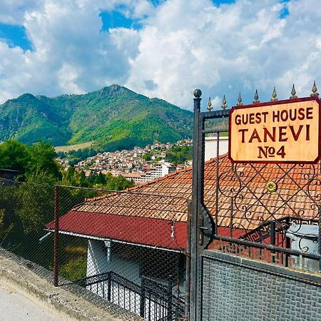 Guest House Tanevi ديفين المظهر الخارجي الصورة