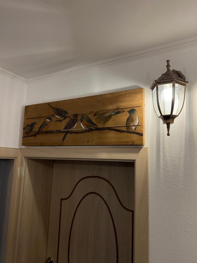 Guest House Tanevi ديفين المظهر الخارجي الصورة
