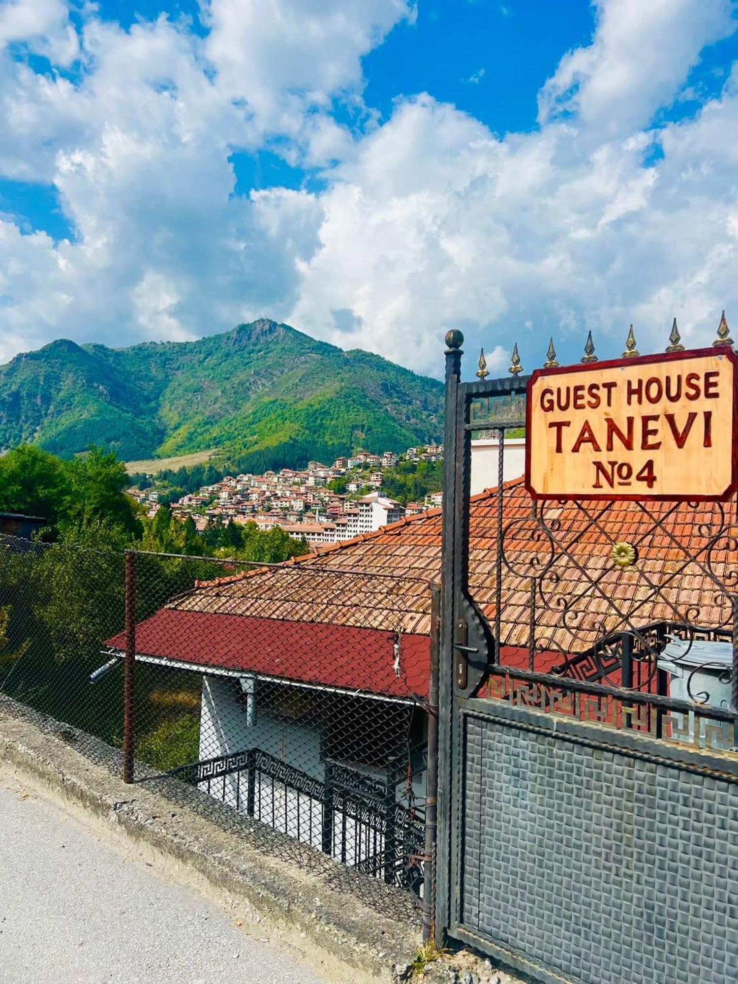 Guest House Tanevi ديفين المظهر الخارجي الصورة